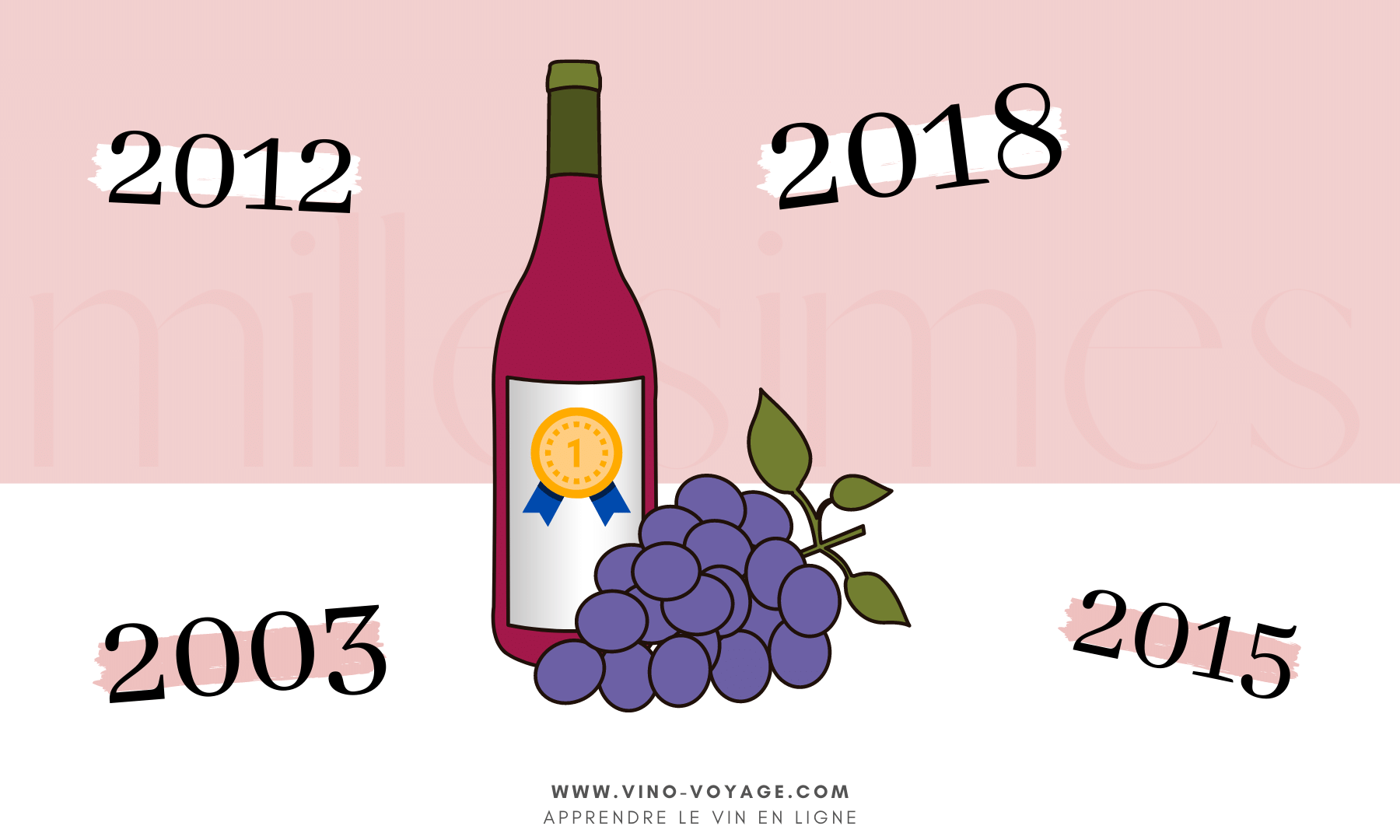Comment lire et déchiffrer l'étiquette d'une bouteille de vin ? – Vino  Lovers