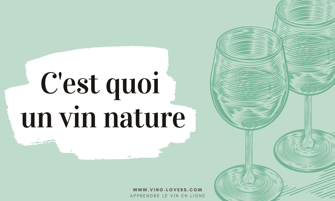 Tout savoir sur les vins natures