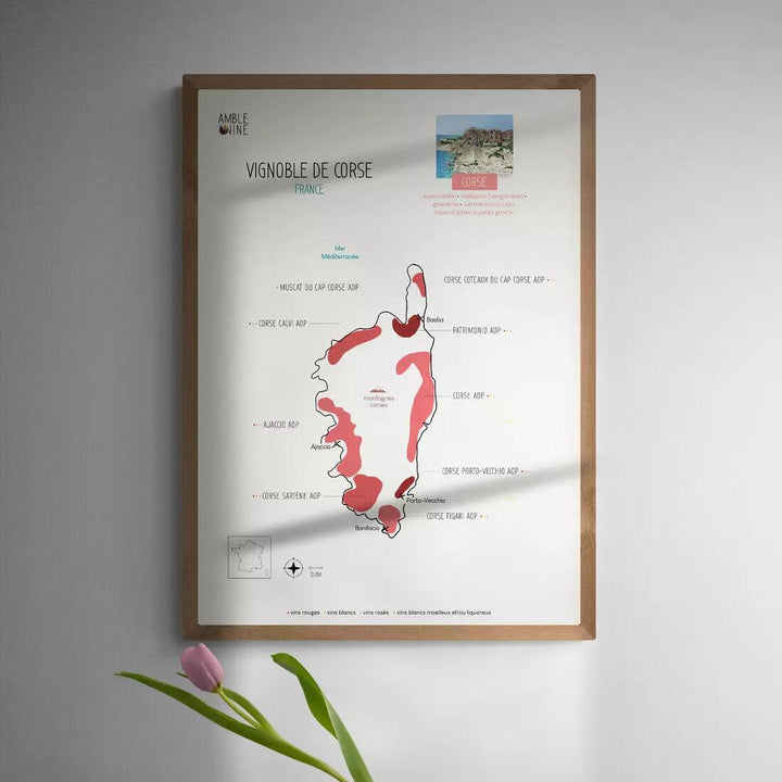 Carte des vins de Corse