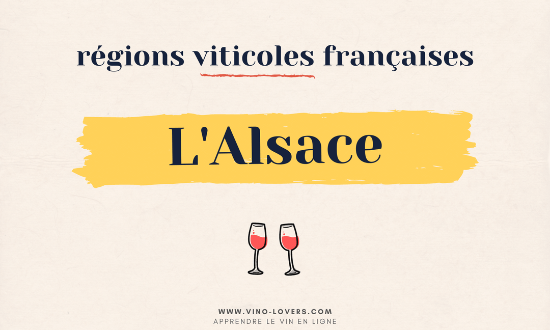 Région viticole française : le vignoble d’Alsace