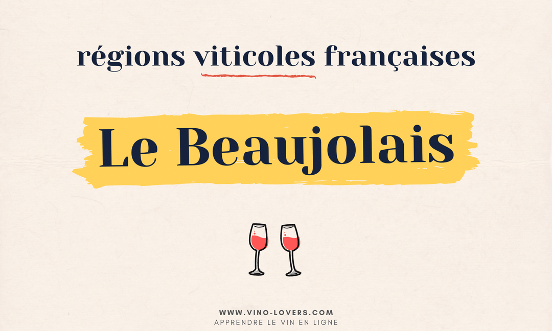 Région viticole française : le vignoble du Beaujolais
