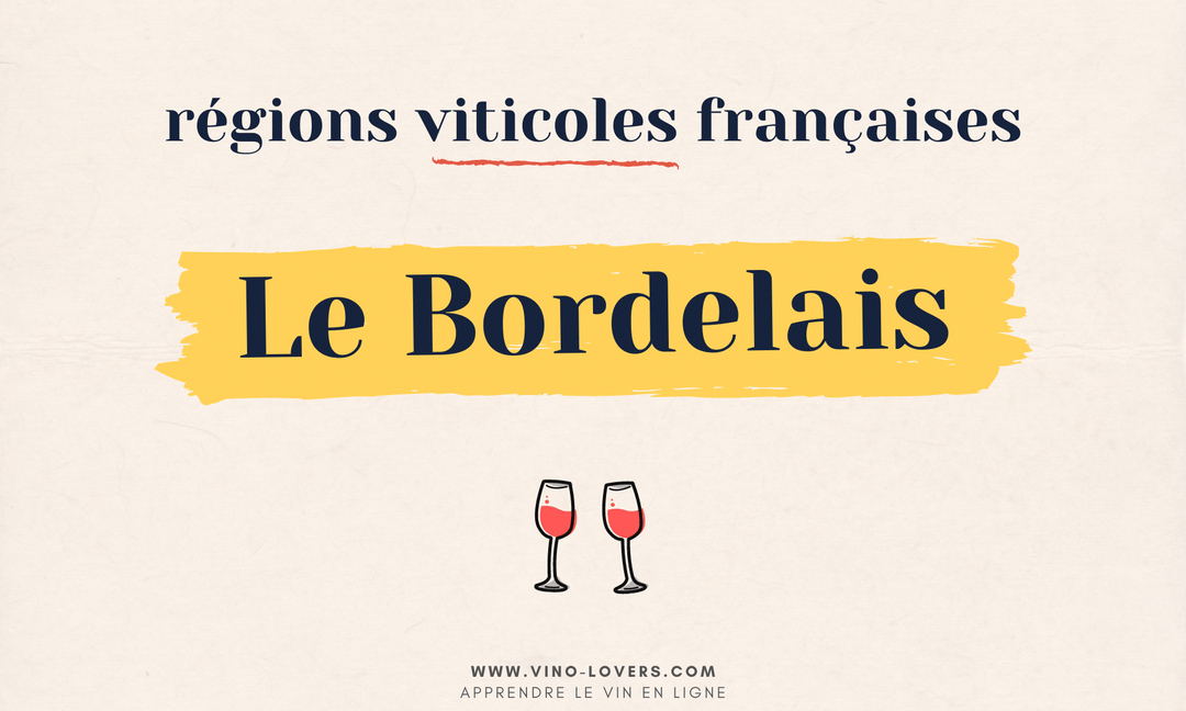 Région viticole française : le vignoble Bordelais