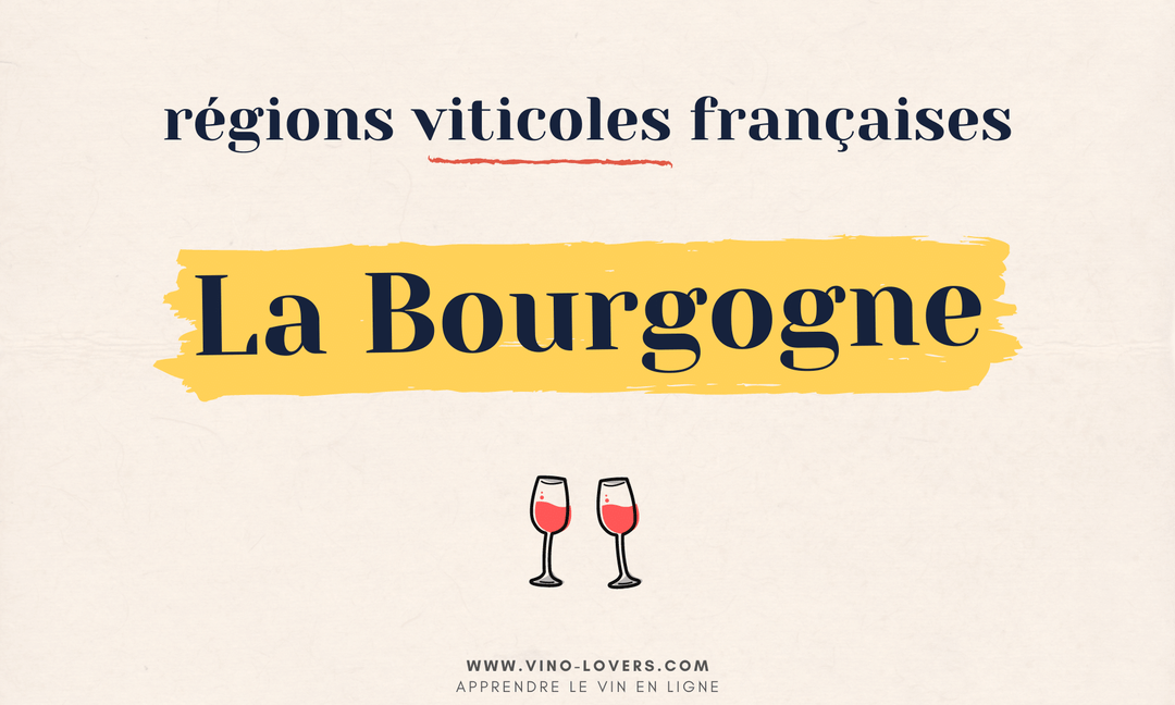 Région viticole française : le vignoble de Bourgogne