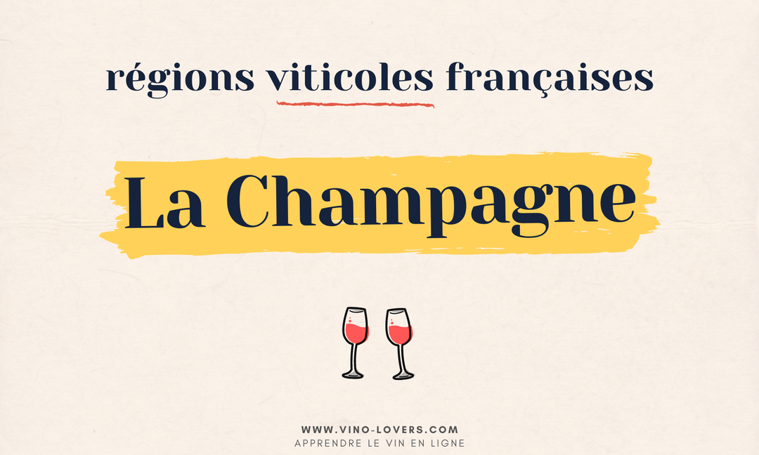 Région viticole française : le vignoble de la Champagne