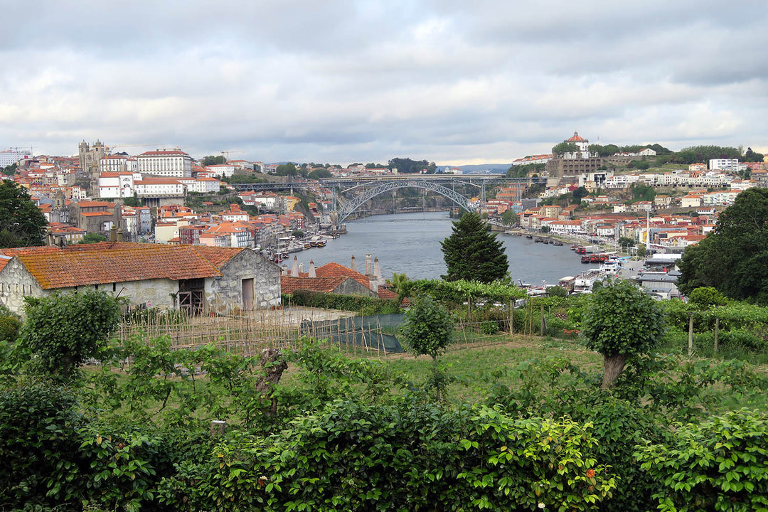 City trip : un week-end à Porto et dans la vallée du Douro
