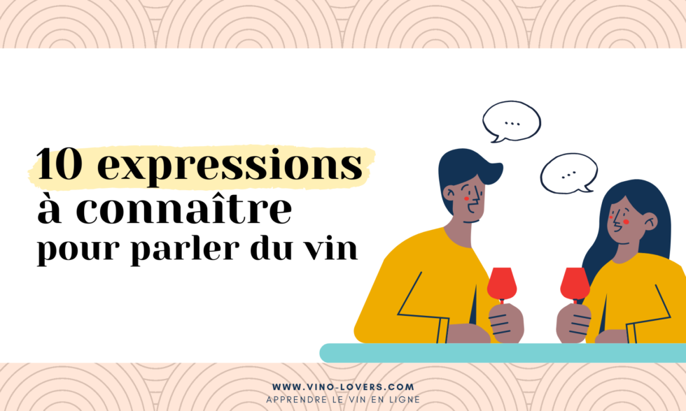 Savoir parler du vin : 10 expressions à connaître