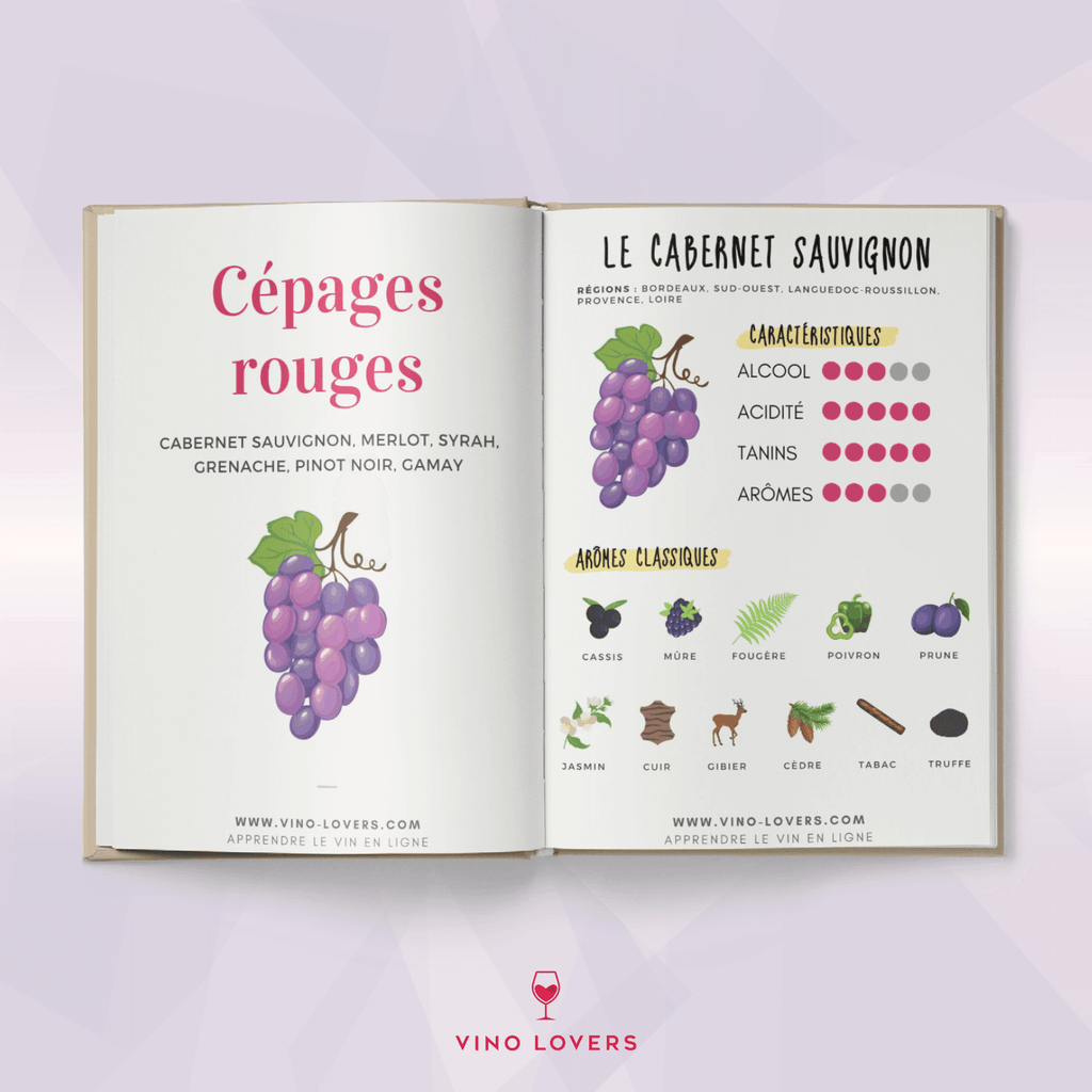 Guide des cépages – Vino Lovers